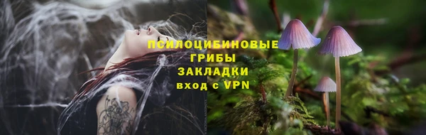 МДПВ Инта