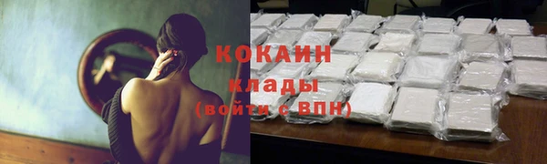 МДПВ Инта