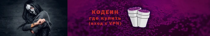 МДПВ Инта