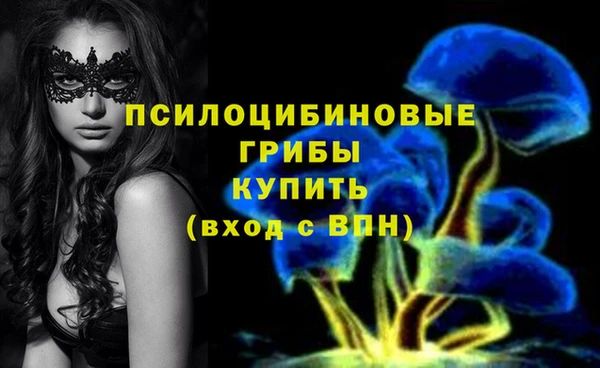бутират Инсар
