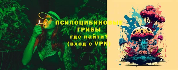 бутират Инсар