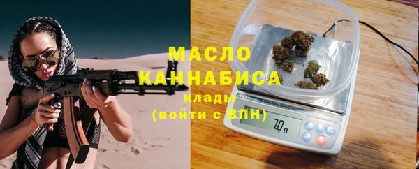 МДПВ Инта